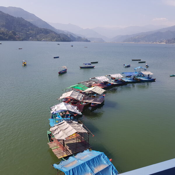 Phewa Lake
